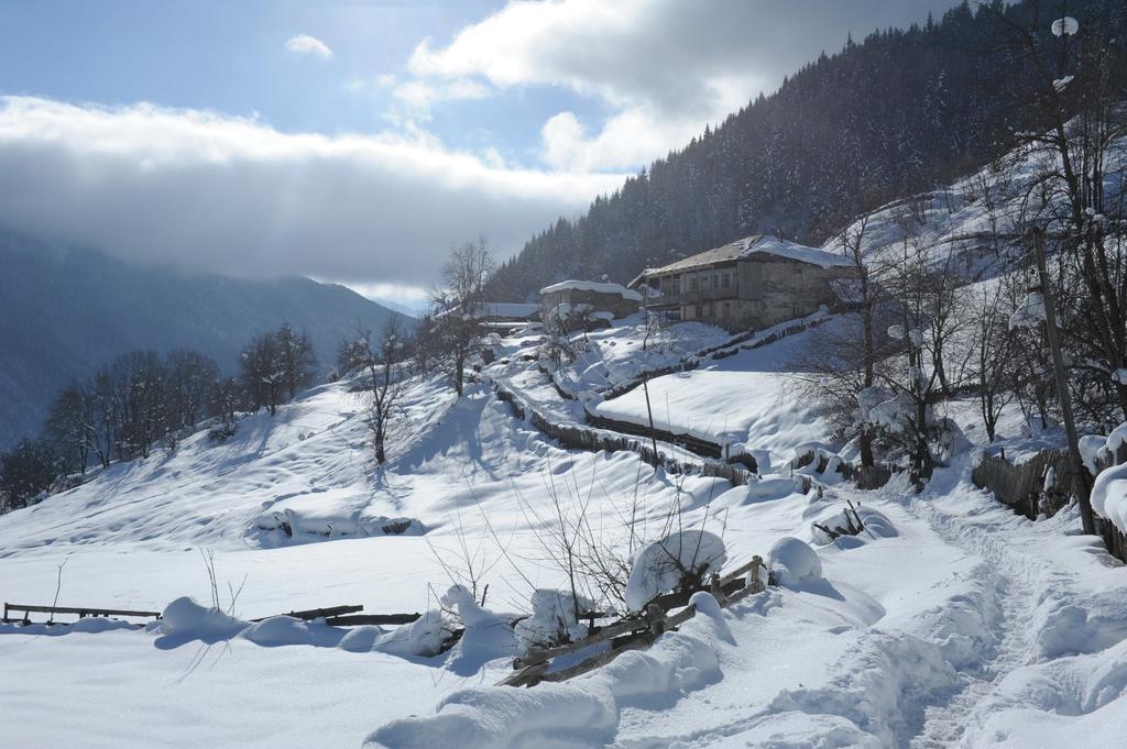Guest House Murkvam Tvebishi Exterior foto